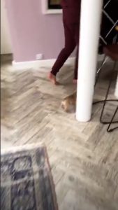 @carolineflack Instagram