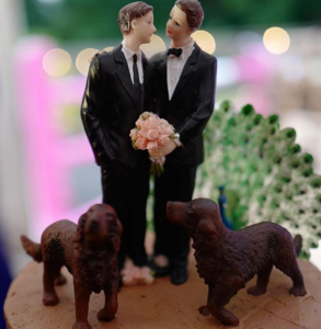 Pictures of Alan Carr and Paul Drayton's wedding party shared by David Walliams (Credit: Instagram)