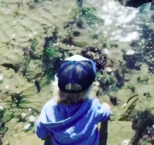 Instagram @catdeeley