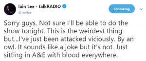 Iain Lee being "attacked by an owl" tweet