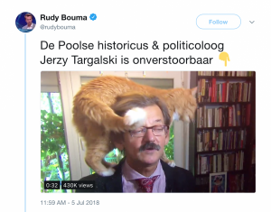 Rudy Bouma Cat