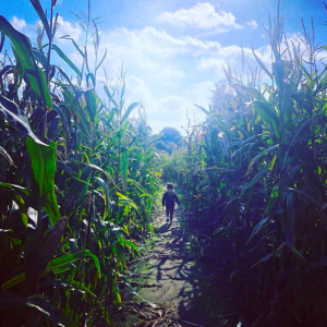 Catherine Tyldesley instagram