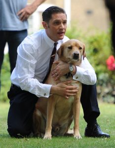 Tom Hardy playing with his dog during a break from filming 'Legend'