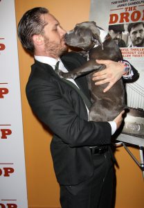 Tom Hardy arriving for the New York screening of 'The Drop',