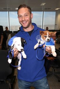 Tom Hardy poses for a photo with two puppies in support of Battersea Dogs and Cats Home at the BGC Annual Global Charity Day