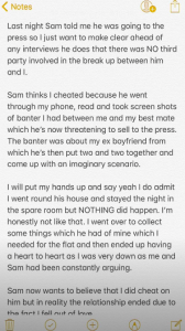 georgia steel sam bird love island