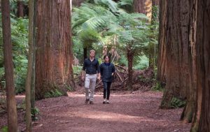Prince Harry, the Duke of Sussex and Meghan, the Duchess of Sussex visit Redwoods Treewalk Rotorua