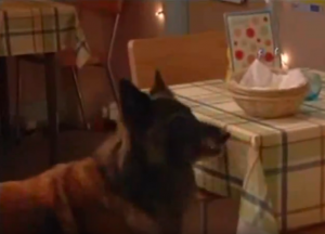 Wellard EastEnders