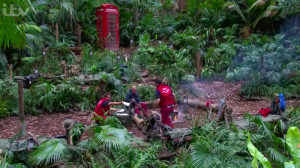 i'm a celeb