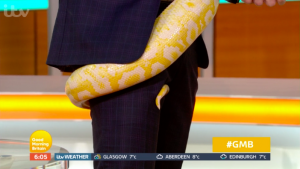 richard arnold good morning britain