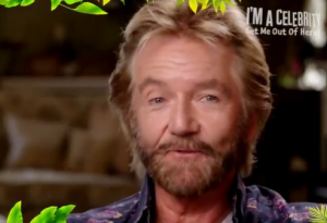 Noel has decided to tackle the jungle this year