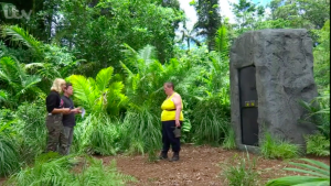 anne hegerty i'm a celeb