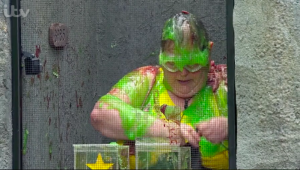 anne hegerty i'm a celeb