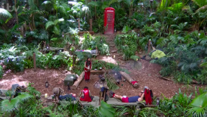 nick knowles i'm a celeb