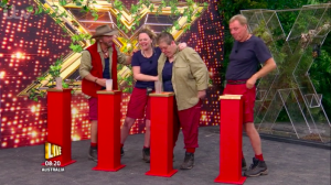 anne hegerty i'm a celeb