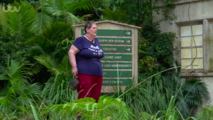 anne hegerty i'm a celeb