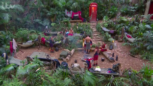 i'm a celeb