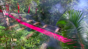 noel edmonds i'm a celeb