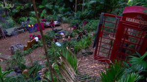 i'm a celeb