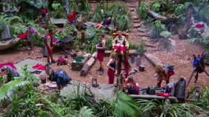 i'm a celeb