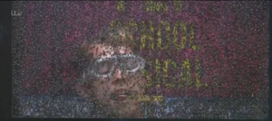 James in the box of flies