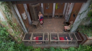 I'm A Celeb trial