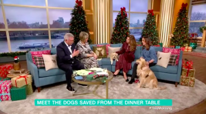 Dog meat segment on This Morning
