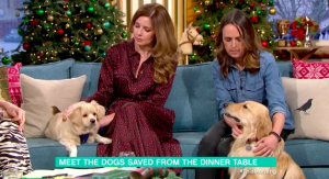 This Morning dogs dog meat