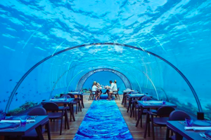 Kate wright (credit: xkatiewright Instagram)