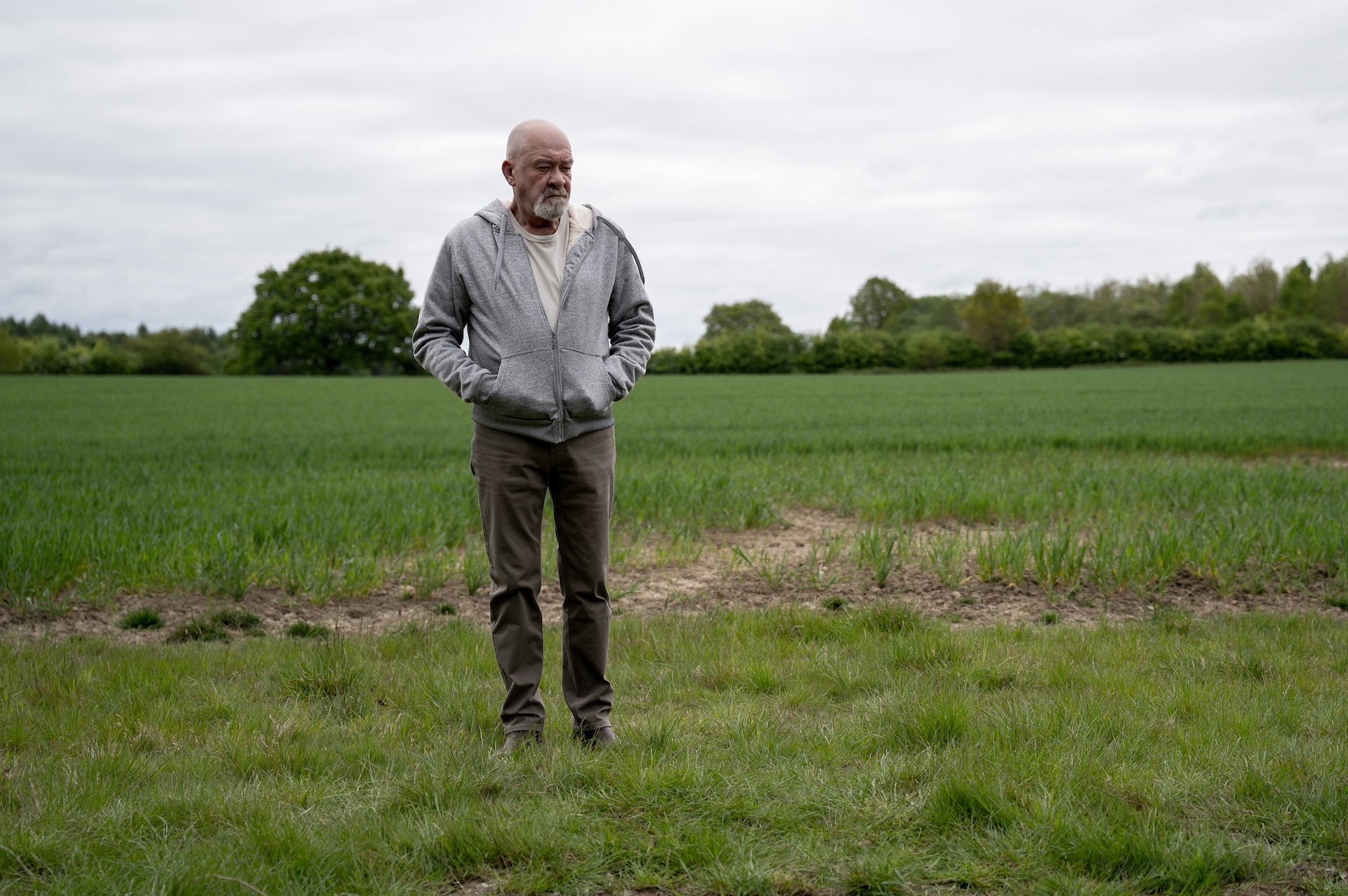 Bear standing in field in Emmerdale