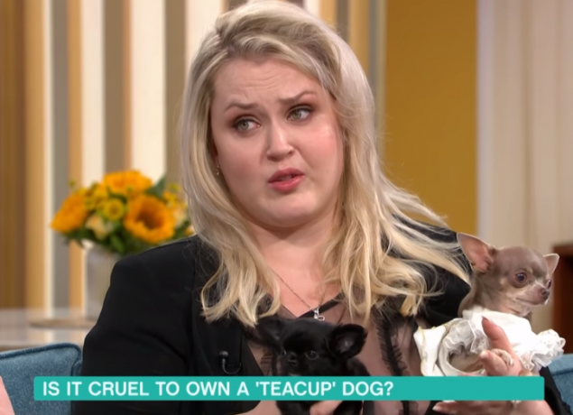 This Morning guest Elena Katerova, who breeds teacup dogs