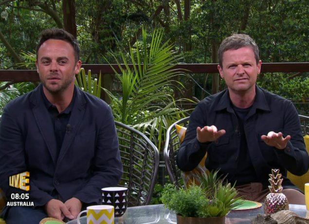 Dec Donnelly in Im A Celebrity