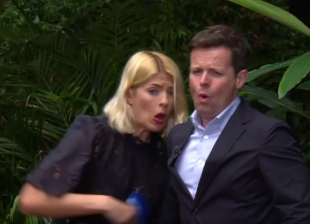 Holly Willoughby and Dec Donnelly on I'm A Celebrity
