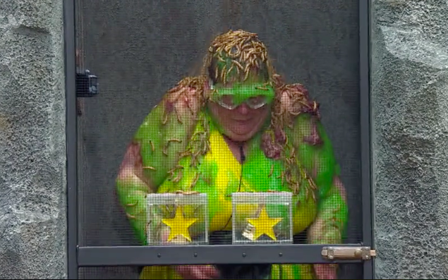 anne hegerty i'm a celeb