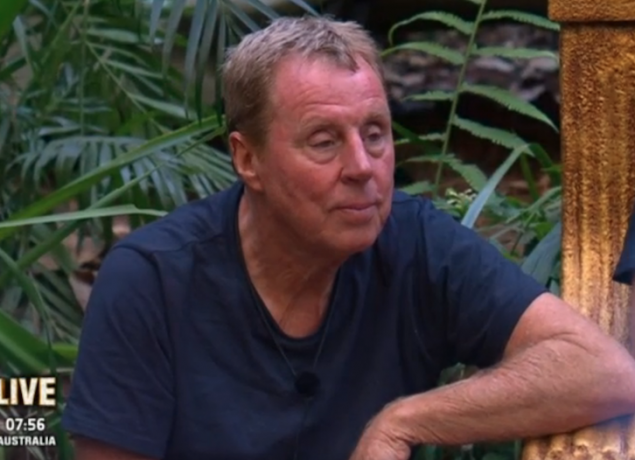 I'm A Celebrity (Credit: ITV)