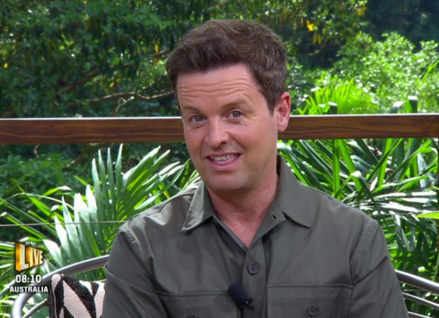 Dec Donnelly on I'm A Celebrity Extra Camp