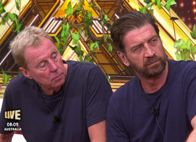 Harry Redknapp and Nick Knowles on IAC