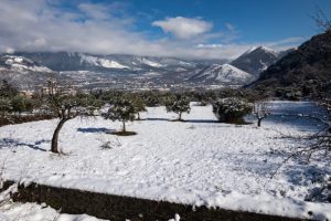 Snow in southern Italy (Credit: IPA/WENN.com)