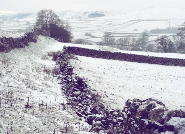 Instagram @helpfulmum