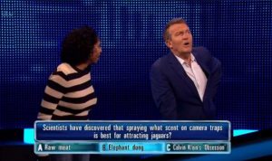 The Chase Bradley Walsh