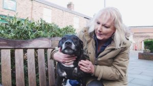 britains top 100 dogs live Sue cleaver