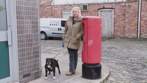 britains top 100 dogs live Sue cleaver