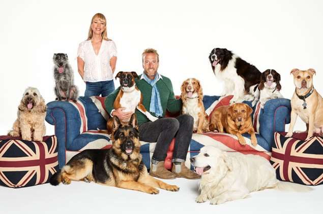 top 100 dogs live 2019