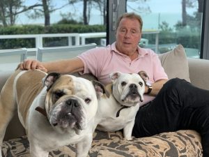 Harry Redknapp and his two Bulldogs (Credit: ITV)