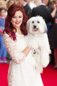 Ashleigh and Pudsey on the red carpet of his movie