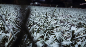 Instagram @simonluckman1988