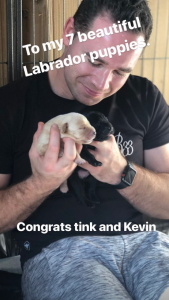 Kieran Hayler shows off new puppies