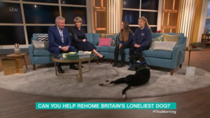 Eamonn Holmes and Ruth Langsford on This Morning