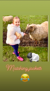 (Credit: alanhalsall Instagram)