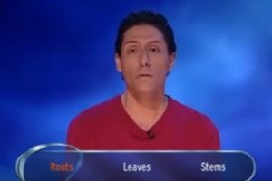 CJ de Mooi on Eggheads (Credit: YouTube)
